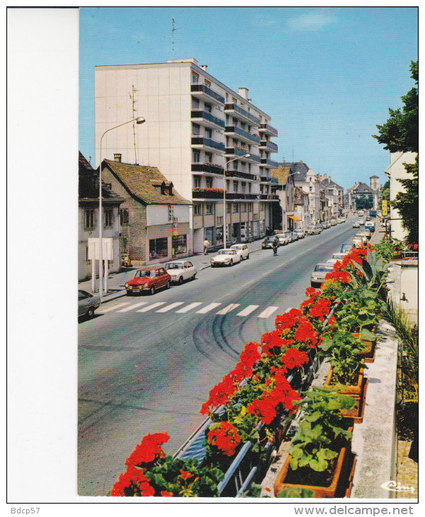 68 - Haut-Rhin - Alsace - SAINT-LOUIS - Porte De France - Rue De MULHOUSE - Format  10,5 X 15 - Saint Louis