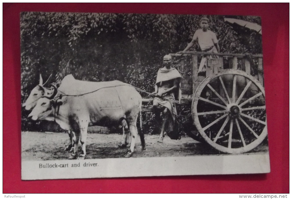 C P   Bullock Cart And Driver - Sri Lanka (Ceylon)