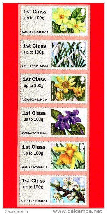 GB UK GRAN BRETAGNA - Nuovo - 2014 - Fiori - Spring Blooms  - BF - 6 Val. - Blocks & Miniature Sheets