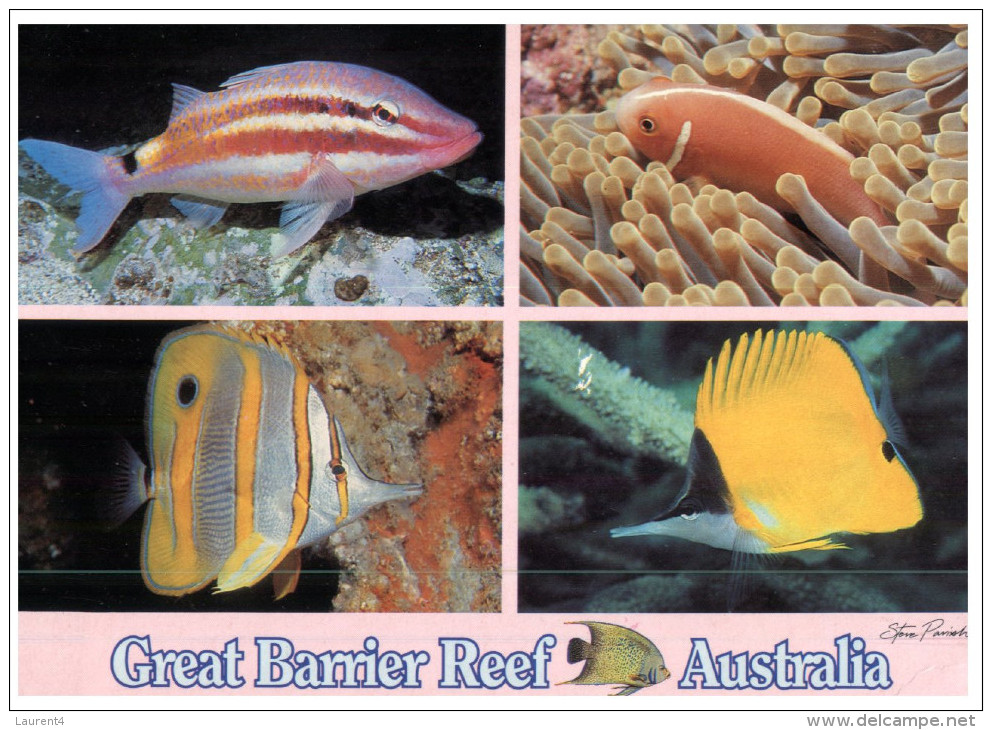 (PH 35) Australia - QLD - Great Barrier Reef - Great Barrier Reef