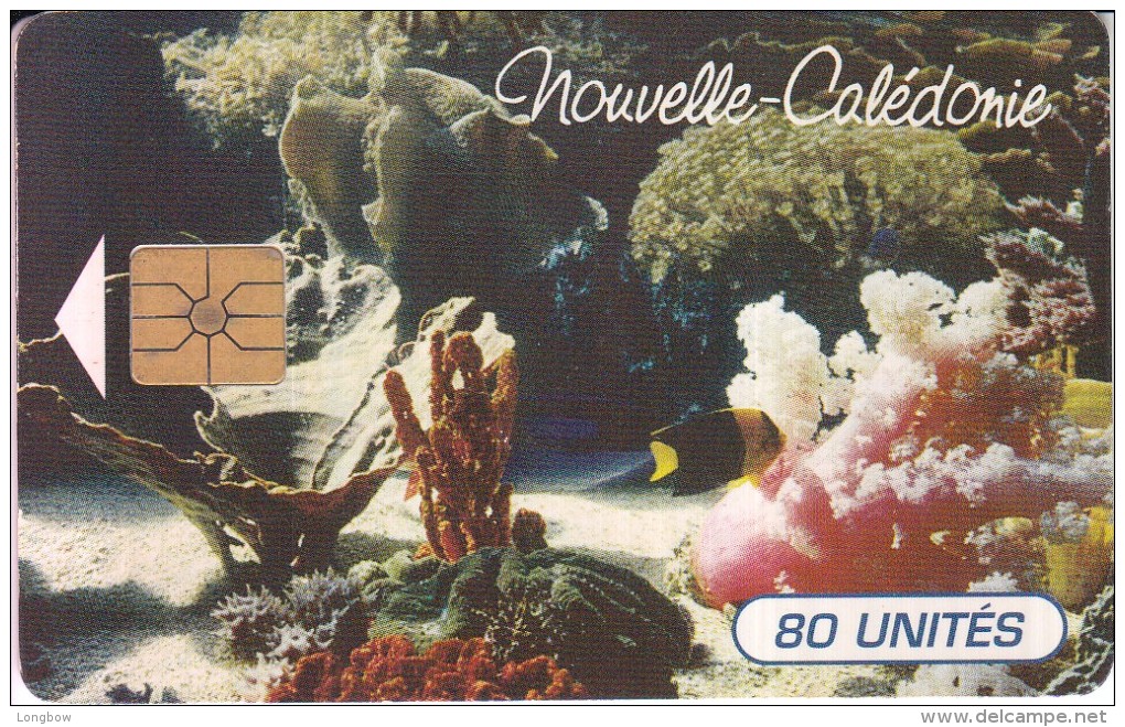 NOUVELLE CALEDONIE - 40 - EVASION SOUS-MARINE - Nouvelle-Calédonie