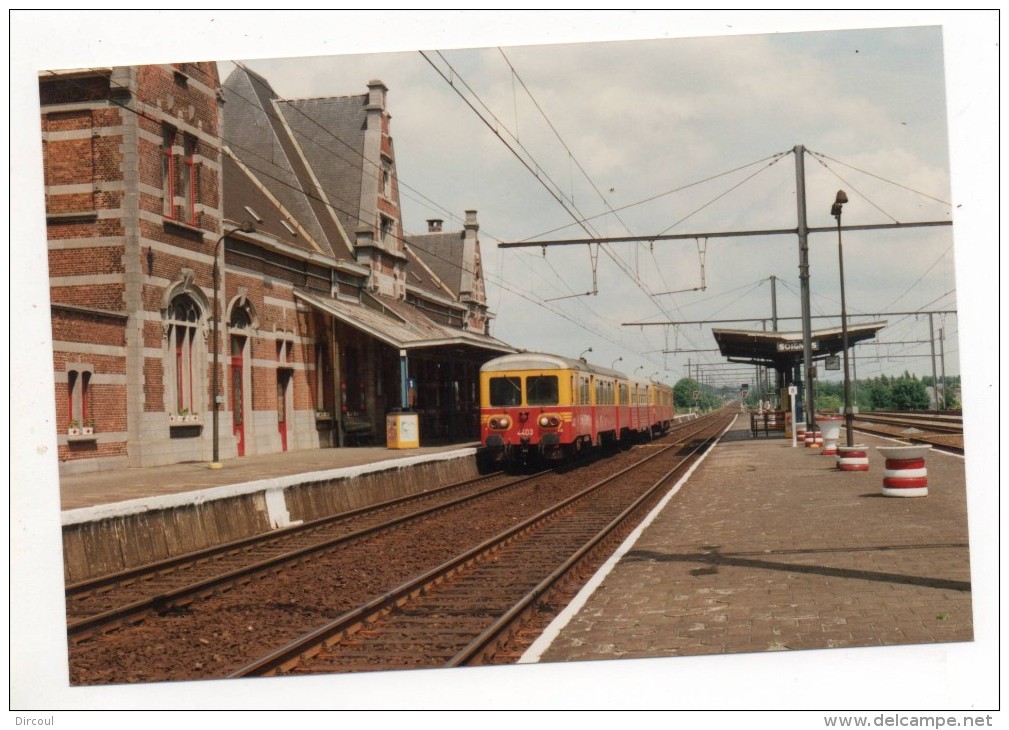 27515  -    Soignies  Gare  Train  Photo 1993  -    15 X 10 - Soignies