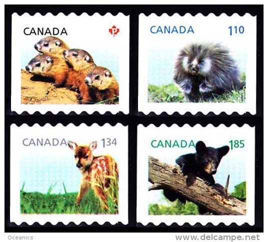 Canada (Scott No.2604-07 - Faune Et Leurs Bébés / Wild Animal's Babies 2012) (o) Perf. 8 1/4 Hor. (Coil) - Oblitérés