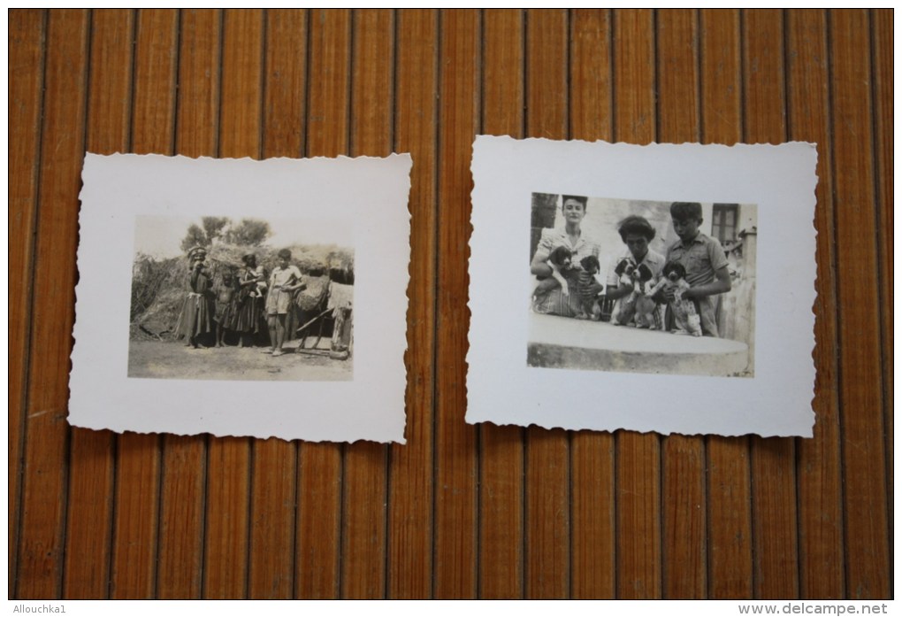 2 MINI Photos Photographies:Famille Présentant Leur Petit  Chien Chiots  Famille Devant 1 Hutte Dans 1 Tribu En Afrique - Anciennes (Av. 1900)