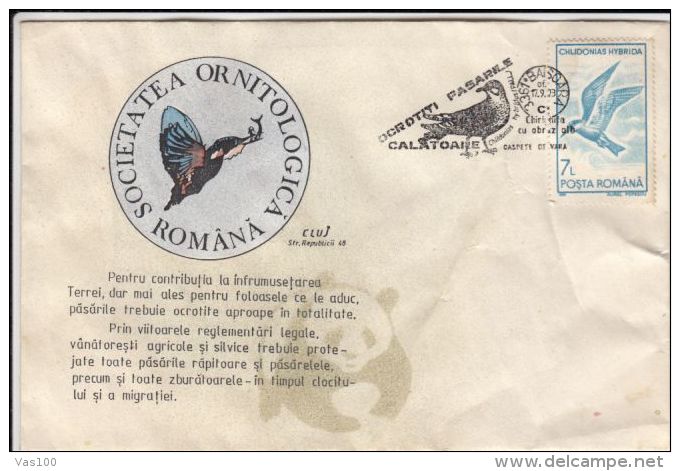 BIRDS, WHISKERED TERN, SPECIAL COVER, 1993, ROMANIA - Albatros & Stormvogels