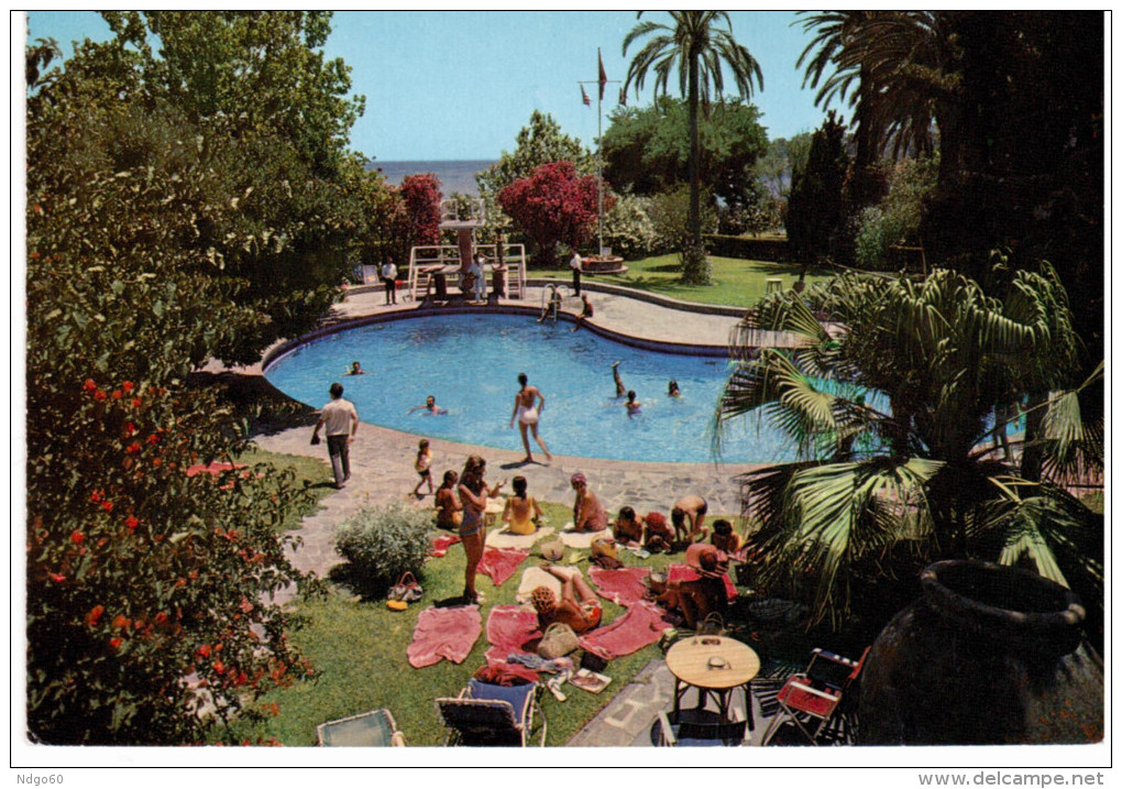 Algeciras (Cadiz) - La Piscina Del Hotel Reina Cristina - Cádiz