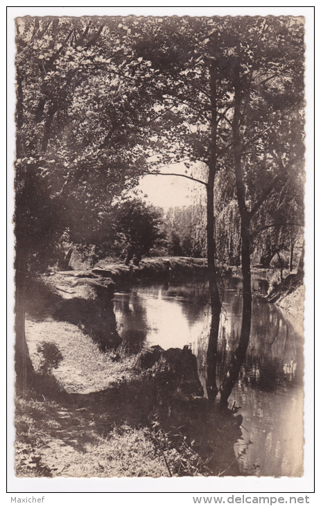 Sainte Geneviève Des Bois - Les Bords De L´Orge - Circulé 1949 - Sainte Genevieve Des Bois