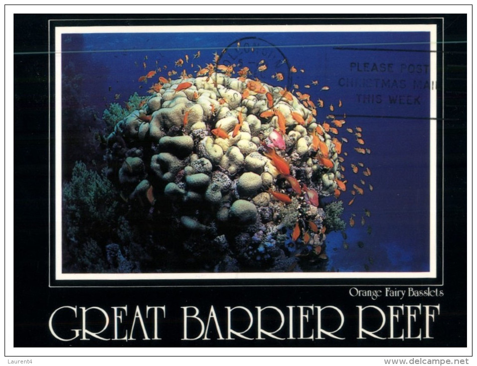 (PH 34)  RTS  Or DLO Postcard - Australia - QLD - Great Barrier Reef - Great Barrier Reef