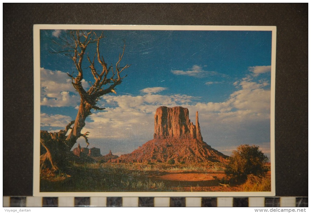 USA    Arizona Monument Valley One Of The Many Spectacular Views In Monument Valley - Autres & Non Classés