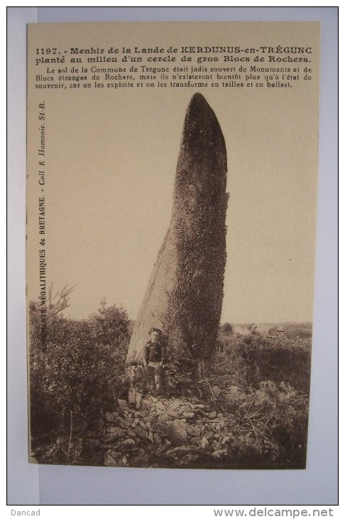 KERDUNUS EN TREGUNC ---Menhir De  La Lande - Sonstige & Ohne Zuordnung