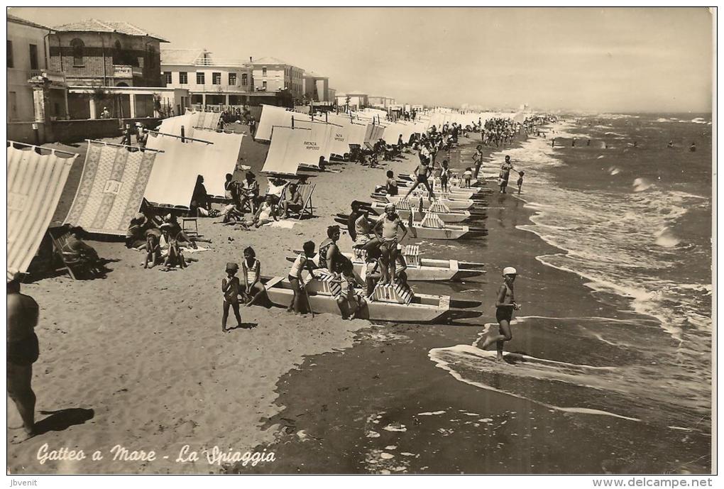 EMILIA ROMAGNA - GATTO A MARE  (RIMINI) -  La Spiaggia - Rimini