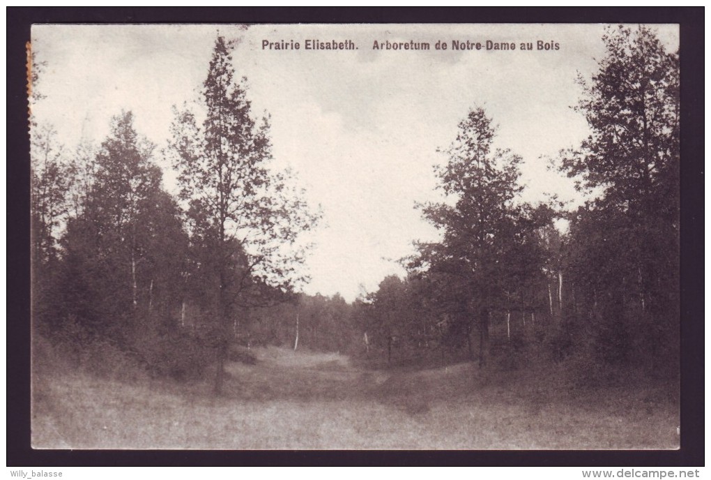 Arboretum De NOTRE DAME AU BOIS - Prairie Elisabeth   // - Overijse