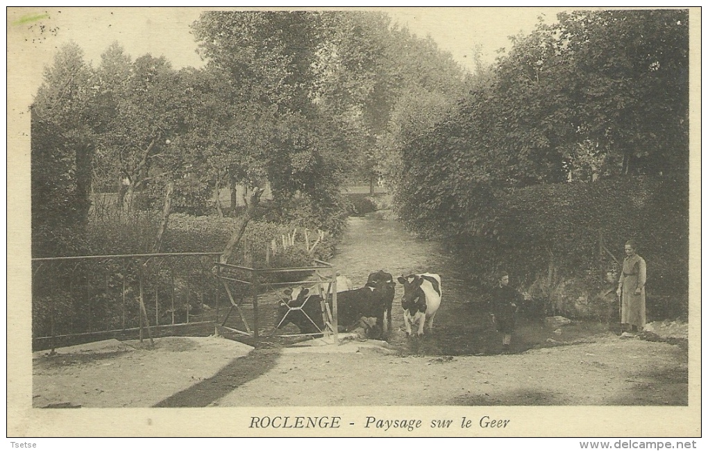 Roclenge Sur Geer -Paysage, Vaches S´abreuvant à La Rivière, Fermière - 1936 ( Voir Verso ) - Bassenge