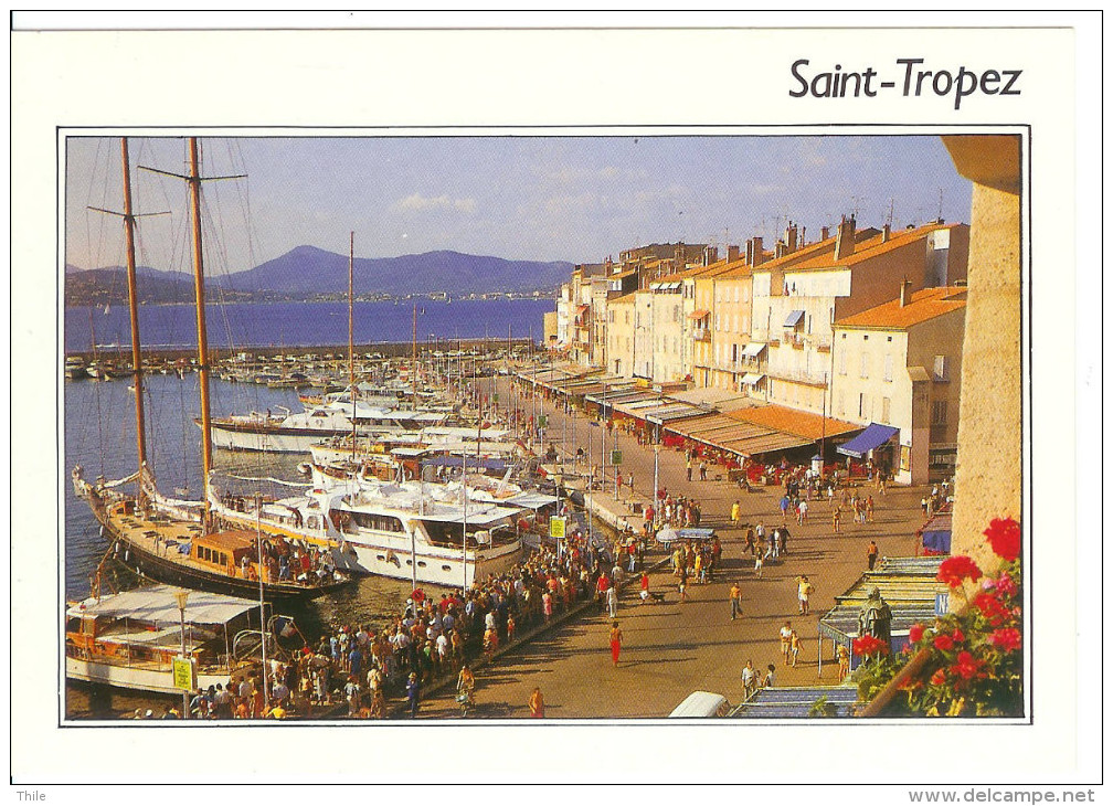 SAINT-TROPEZ - Le Port - Saint-Tropez