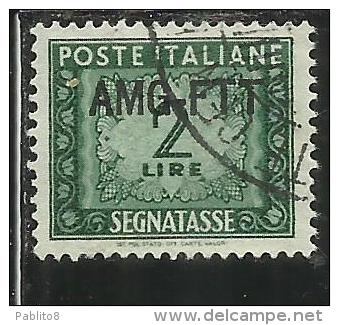 TRIESTE A 1949 1954 AMG-FTT SOPRASTAMPATO D´ITALIA ITALY OVERPRINTED SEGNATASSE TAXES TASSE LIRE 2 USATO USED - Segnatasse