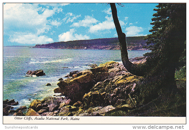 Otter Cliffs Acadia National Park Maine - USA National Parks