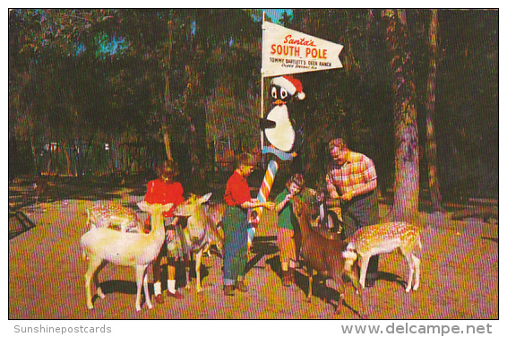 Children Feeding Deer At Tommy Bartlett's Deer Ranch Silver Springs Florida - Silver Springs