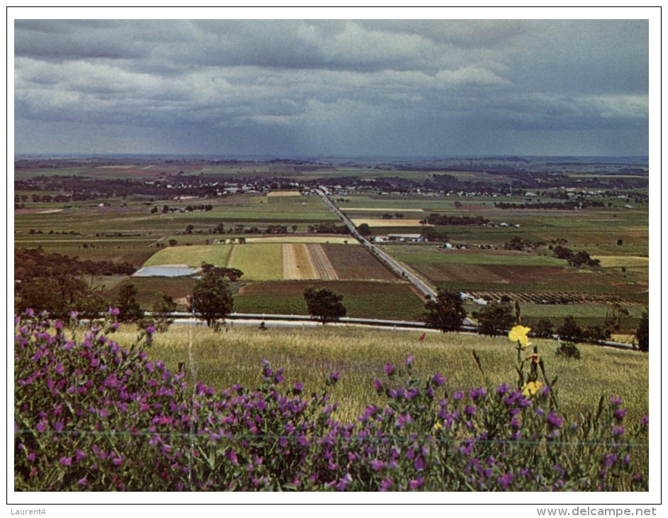 (PH 25) Australia - SA - Tanunda Valley - Barossa Valley