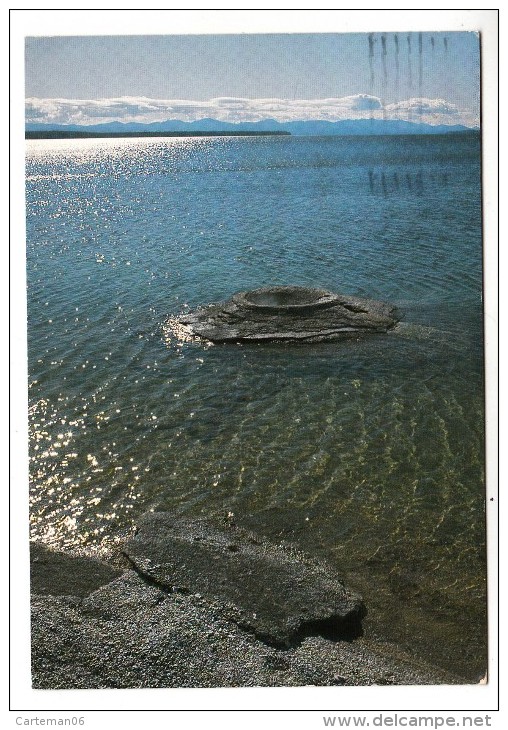 Etats Unis - Fishing Cone At West Thumb - Yellowstone National Park - Yellowstone