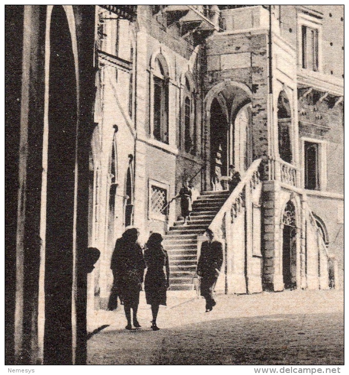 SPL 1956 FERMO PALAZZO COMUNALE FG V SEE 3 SCANS ANIMATA - Fermo