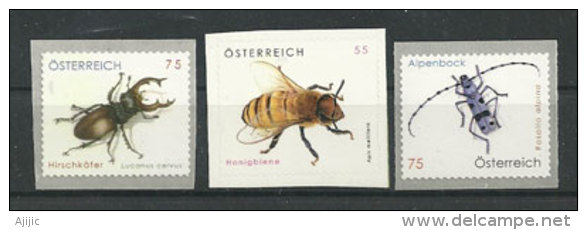 AUTRICHE. Insecte,coléoptère,abeill E Du Pays   3 T-p Neufs ** - Honeybees