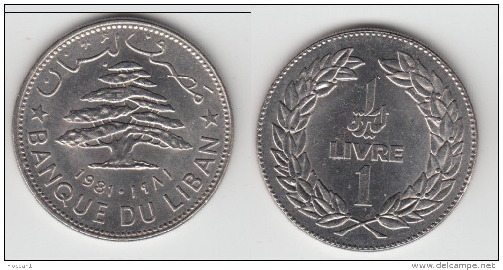 **** LIBAN - LEBANON - 1 LIVRE 1981 CEDRE - CEDAR **** EN ACHAT IMMEDIAT !!! - Líbano