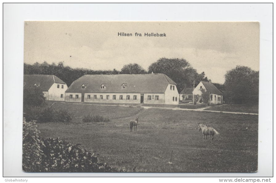 DENMARK - HILSEN FRA HELLEBAEK - Denmark