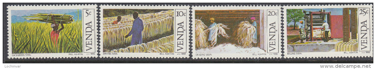 VENDA, 1982 SISAL CULTIVATION 4 MNH - Venda