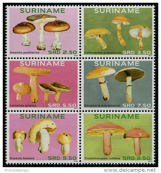 Suriname - Surinam (2014)  - Set - /  Mushrooms - Funghi - Champignon - Pilze - Champignons