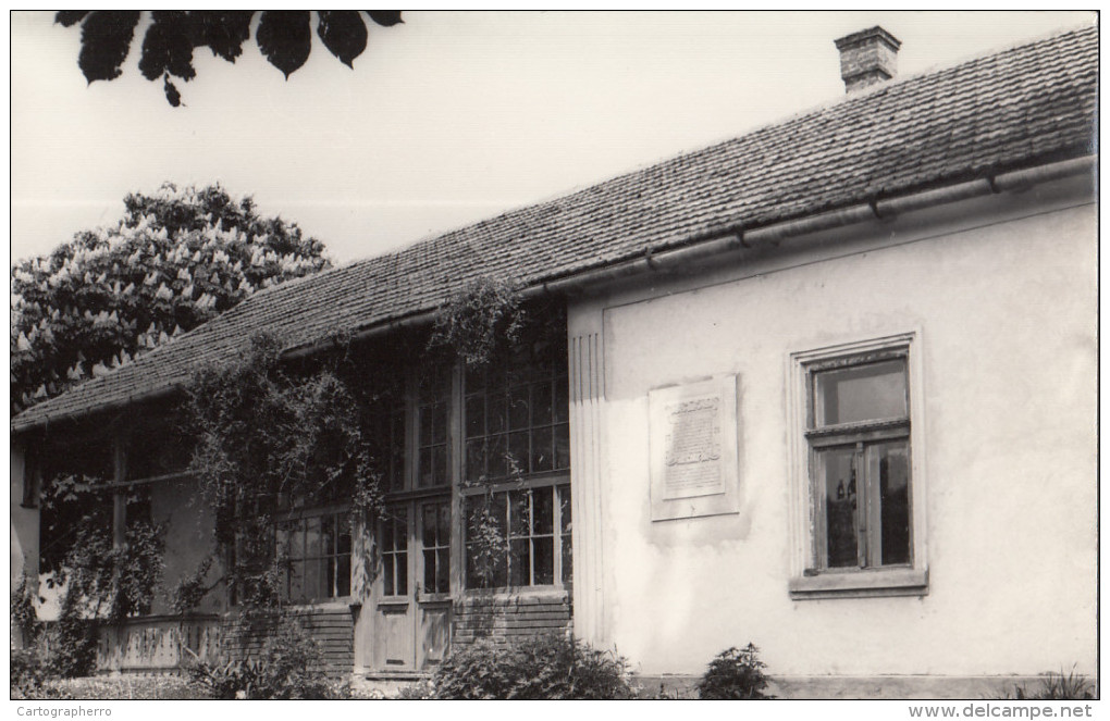 Satu Mare, Cauas, Casa Memoriala Ady Endre Memorial House 52 - Rumania