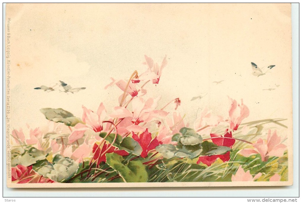 C. Klein - Fleurs Et Papillons - Meissner & Buch - Klein, Catharina