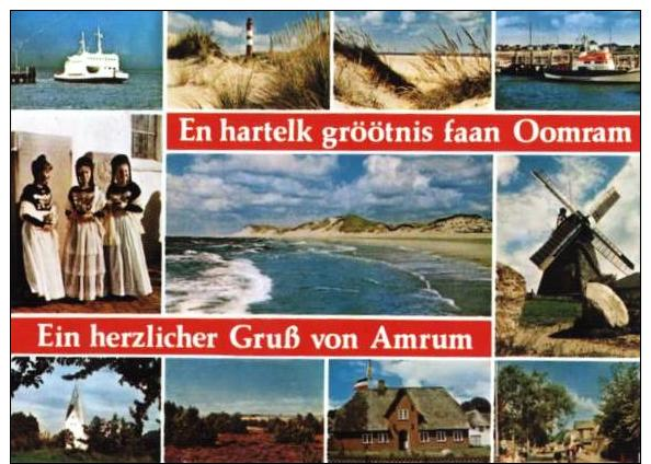 AK0822 Ein Herzlicher Gruß Von Amrum, Versch. Ansichten 1980 - Other & Unclassified