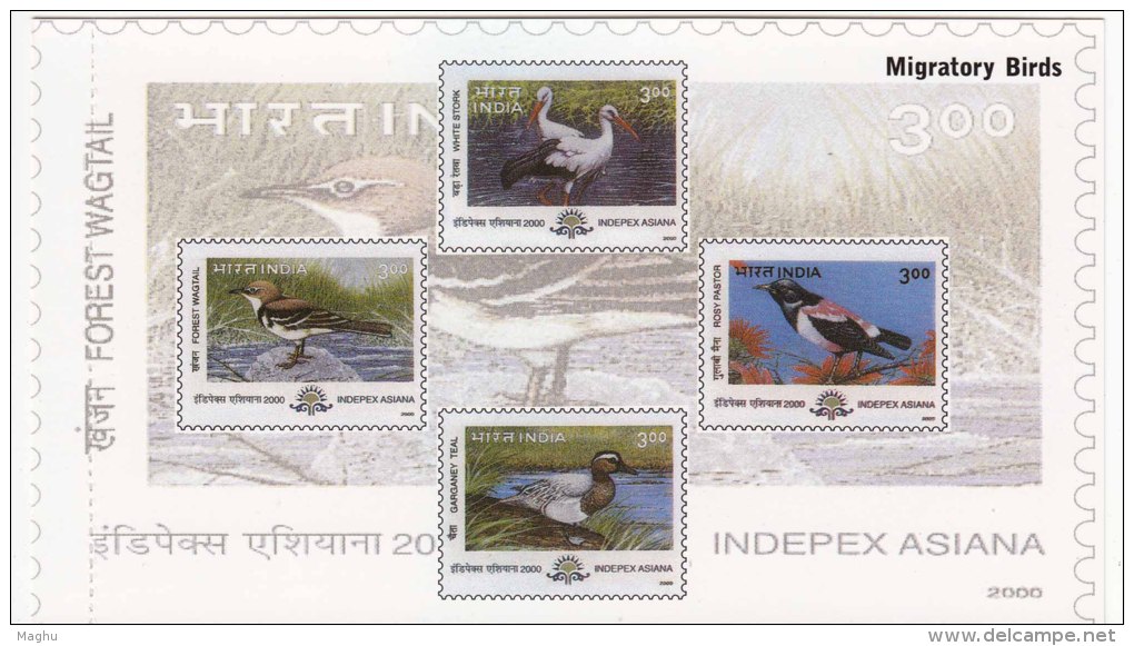 Department Of Post Picture Postcard, Migratory Birds, Bird, Stork, Wagtail, Rosy Pastor, Teal, - Storks & Long-legged Wading Birds