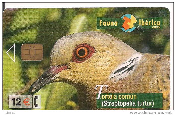 TARJETA FAUNA IBERICA TORTOLA COMUN - Otros & Sin Clasificación