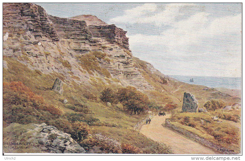 PC Isle Of Wight - Niton - The Undercliff - 1929 (2563) - Sonstige & Ohne Zuordnung