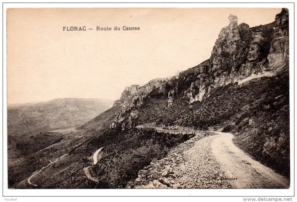 CP, 48, FLORAC, Route Du Causse, Vierge - Florac
