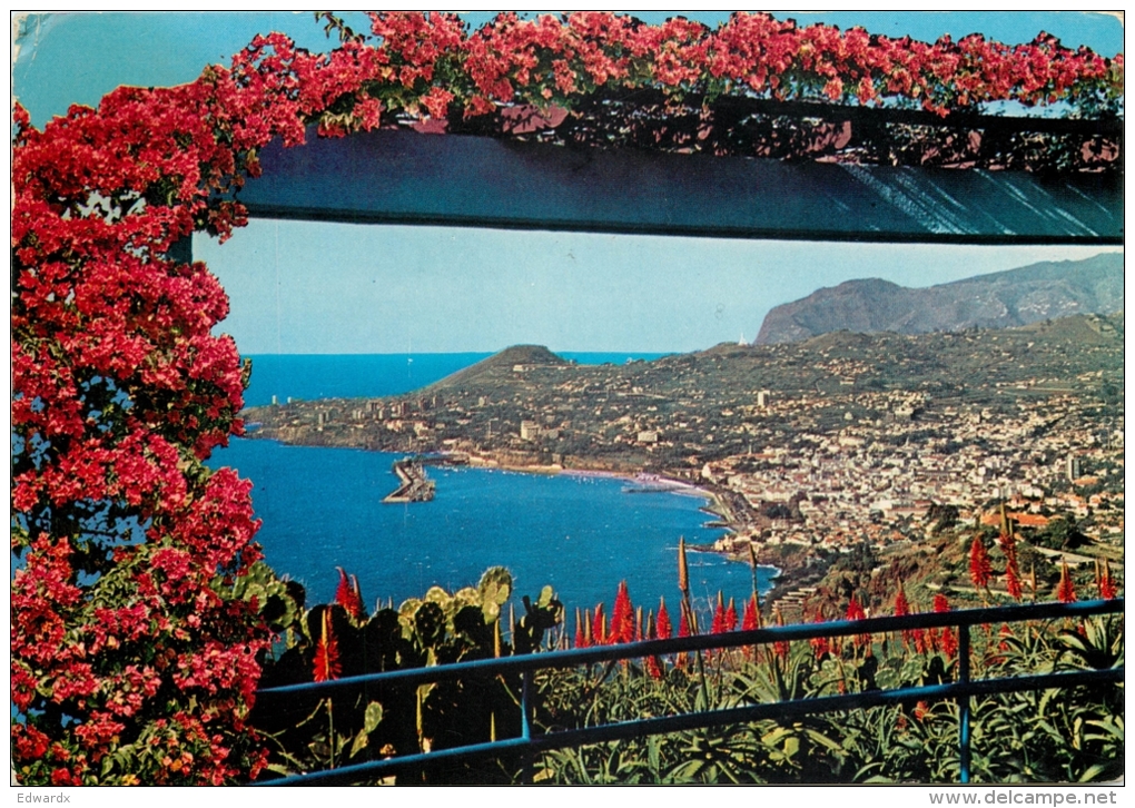 Funchal, Madeira, Portugal Postcard Posted 1977 Stamp - Madeira