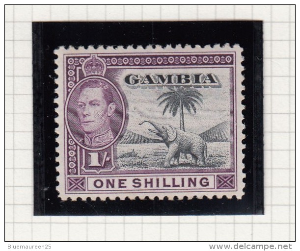 KING GEORGE VI - Gambia (...-1964)