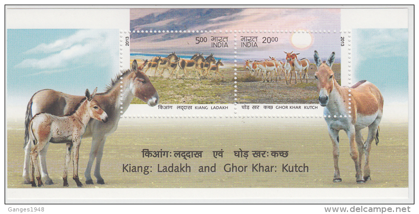 India 2013  Wild Asses  Donkey´s  2v  Souvenir Sheet Sheet # 62501  Inde  Indien - Anes