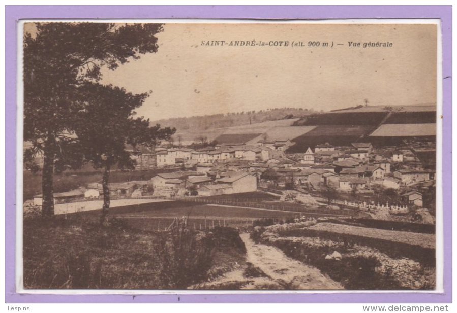 69 - SAINT ANDRE La COTE -- Vue Générale - Saint-André-la-Côte