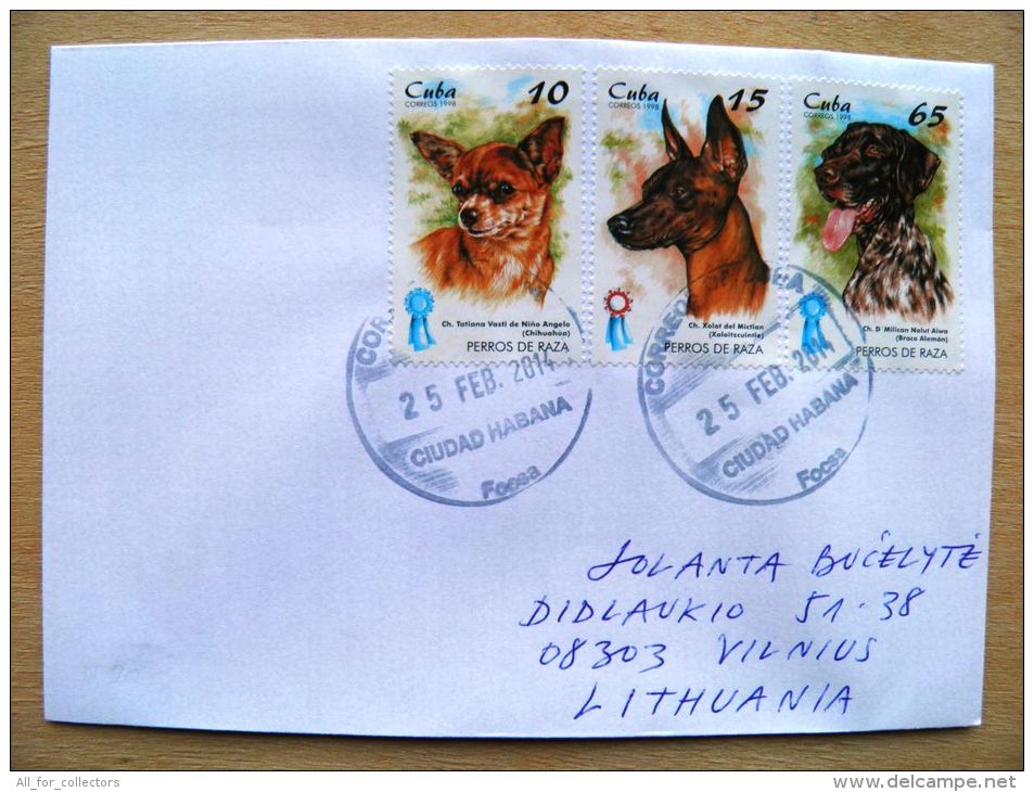 Postal Used Cover Sent  To Lithuania,  Fauna Animal Dogs Chien  Perros De Raza - Cartas & Documentos