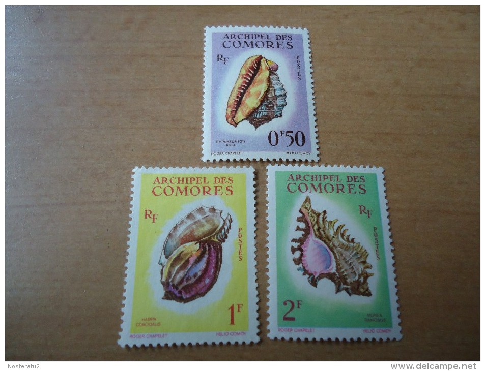 Komoren: 3 Werte Muscheln 1962) - Unused Stamps