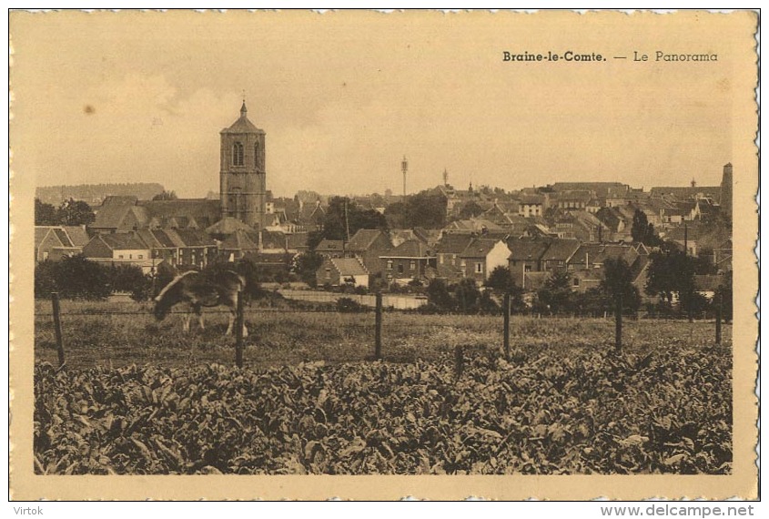 Braine-La-Compte :  Le Panorama - Braine-le-Comte