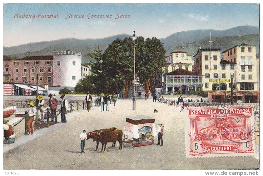 Portugal - Madeira - Funchal - Used 1925 - Madeira