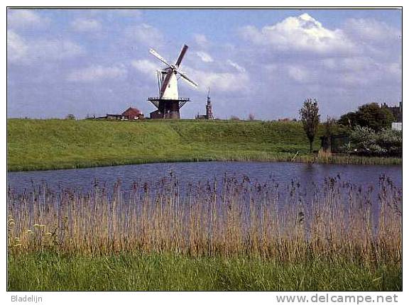 VEERE (Zeeland) - Molen/moulin - Stellingmolen "De Koe" In 1963, Opgezeild En In Werking Met Bilauwieken. TOP! - Veere