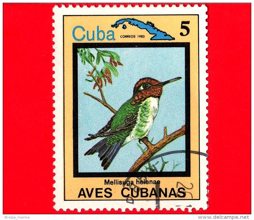 CUBA - 1983 - Animali - Fauna - Uccelli Cubani - Birds - Aves - Mellisuga Helenae - 5 - Gebruikt