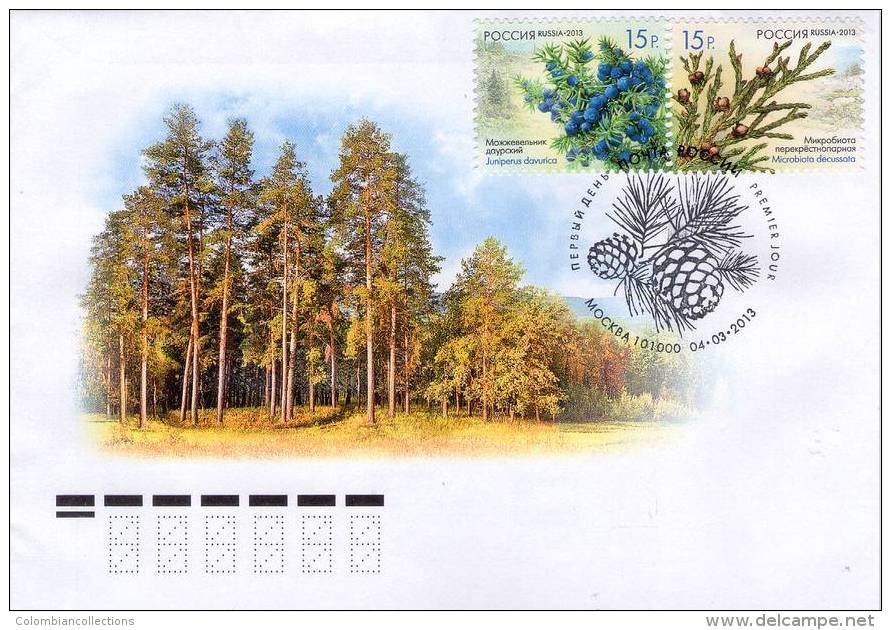 Lote 1921-4, 2013, Rusia, Russia, FDC, Flora Of Russia - Cones. Self Adhesive Stamps, 2 FDC - FDC