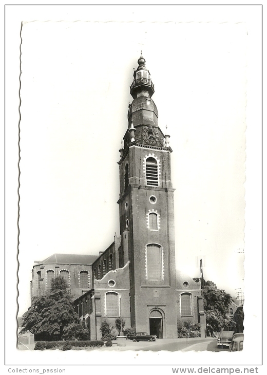 Cp, Belgique, Leuze, Collégiale Saint-Pierre - Leuze-en-Hainaut