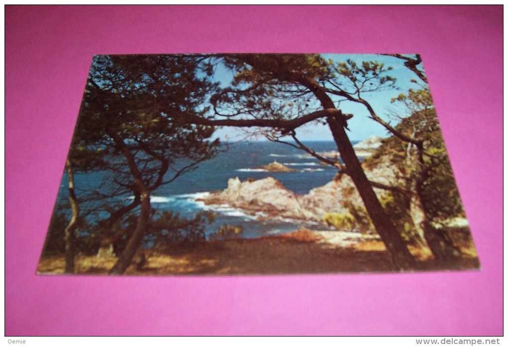 TIMBRE OBLITERATION FLAMME° L'EVASION D'AUTOMNE FOIRE DE BANDOL LE 26 10 AU 5 11 1979 - 1961-....