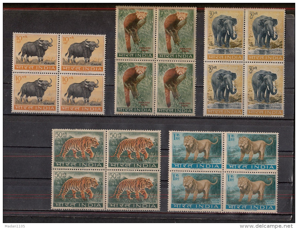 INDIA, 1963, Wild Life Preservation, Set 5 V, Animal, Elephant, Lion, Tiger, Panda, Gaur, Animals,Block Of 4, MNH, (**) - Unused Stamps